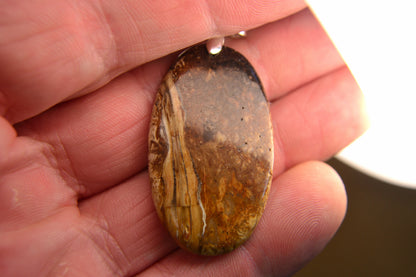 MYSTIC GEMS One of a Kind Palm Root Agate Pendant Necklace 925 Sterling Silver MG20262216 - Mystic Gems
